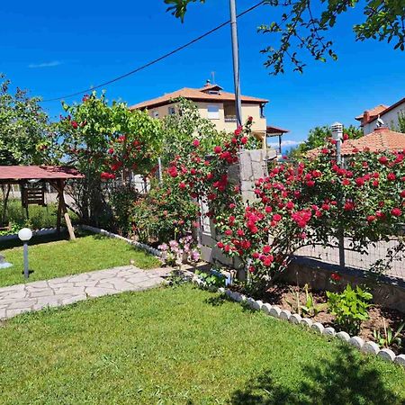 Villa Jenny Leptokaria Exteriér fotografie