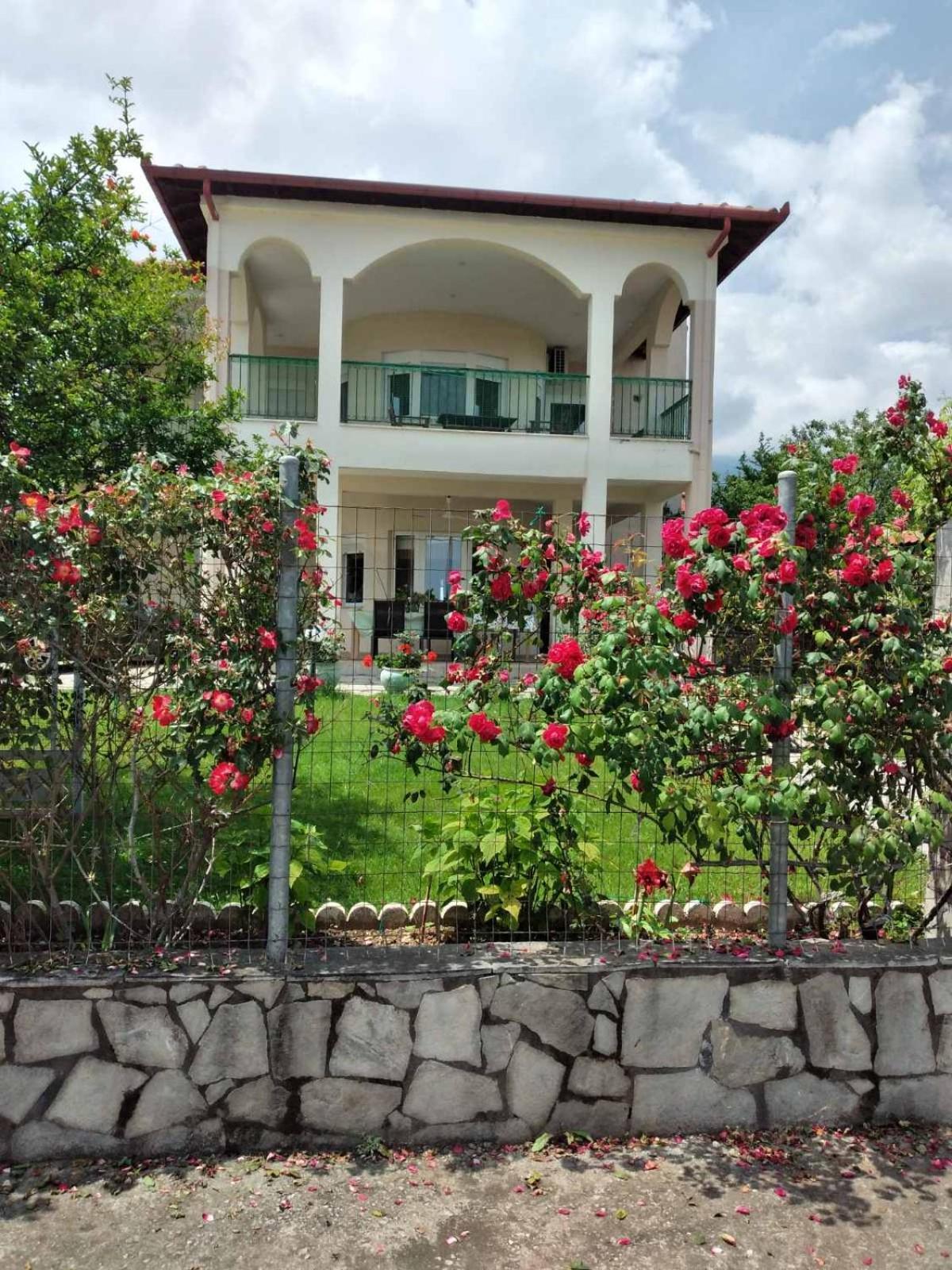 Villa Jenny Leptokaria Exteriér fotografie