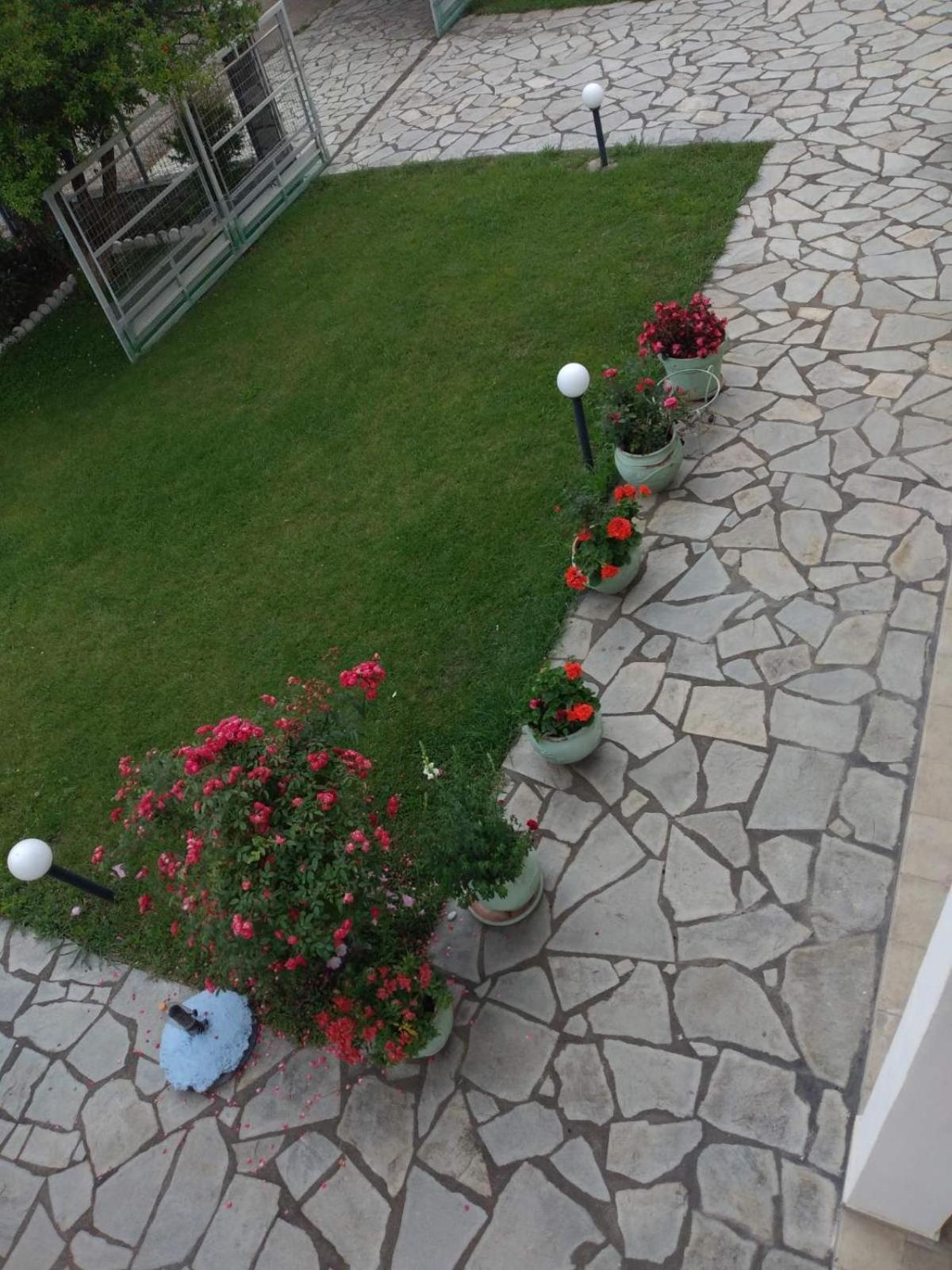 Villa Jenny Leptokaria Exteriér fotografie